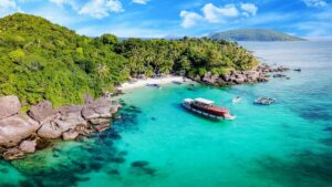 My Huỳnh Đà Lạt in ly, in bao bì, in túi nilon, nắp ly, ống hút, vali giá sỉ số 1 dao phu quoc